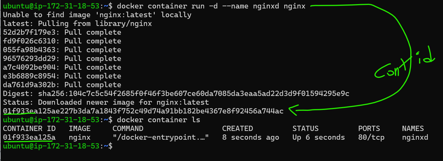 container40 – Direct DevOps from Quality Thought